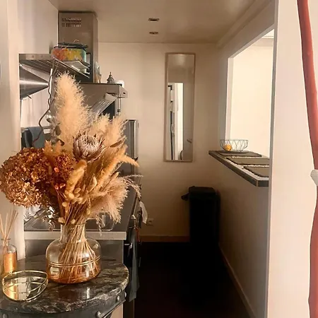 3 Pieces Au Centre De Ideal Congres Ou شقة